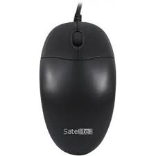 Mouse